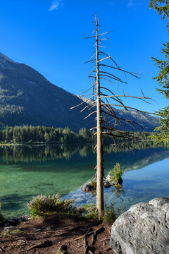 See, Hintersee, Ramsau, Berchtesgaden, Berchtesgadener Land, Malerwinkel, Ferchensee, Forchensee, Ramsauer Ache, Hochkalter,  Oberbayern, Wasser, Spiegelglatt, Spiegelbild, spiegeln, Oberfl&auml;che,  Somm