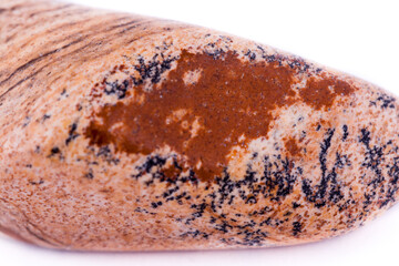 macro stone mineral landscape jasper on a white background