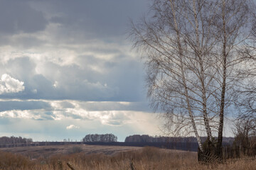 rural landscape with birch trees, hills, fields and a gloomy sky