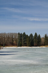 Hawrelak Park in Early Spring