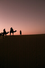 silhouette of a camel ride