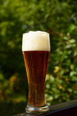 A glass of beer foam on a blurred garden background