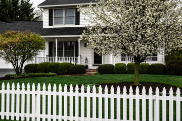 white colonial home with black shutters picket fence and flowering pear tree