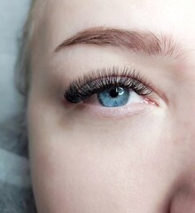 Obraz premium close up of lash extensions blue eye