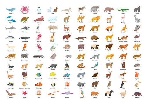 Big set of cards animals, fish and birds for kids. 100 Animal сards with titles for 4 A3 sheets print.