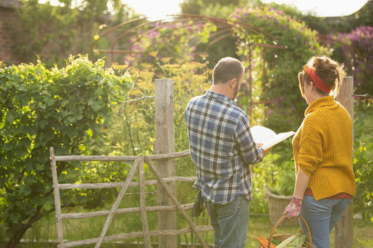 Couple with book harvesting vegetables in sunny idyllic summer garden