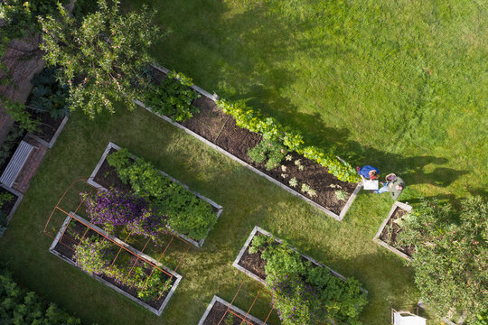 View from above couple in lush vegetable garden with raised beds