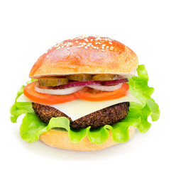Cheeseburger isolated on a white background. Hamburger with cheese. Burger isolated. Copy space