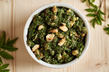 Pesto made from young leaves of goutweed or ground elder - a wild edible plant growing in spring