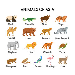 Animals of Asia: panda, crocodile, tiger, camel, bear, leopard, snow leopard, elephant, lion, cheetah, turtle, lori, gaur, mongoose, peacock, flamingo, lynx on a white background.Flat cartoon.