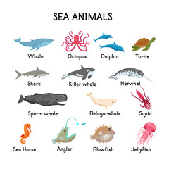 SEA ANIMALS: whale, seal, killer whale, sperm whale, narwhal, beluga, octopus, shark, dolphin, turtle, seahorse, jellyfish, angler, squid, blowfish on a white background.Flat cartoon illustration. 