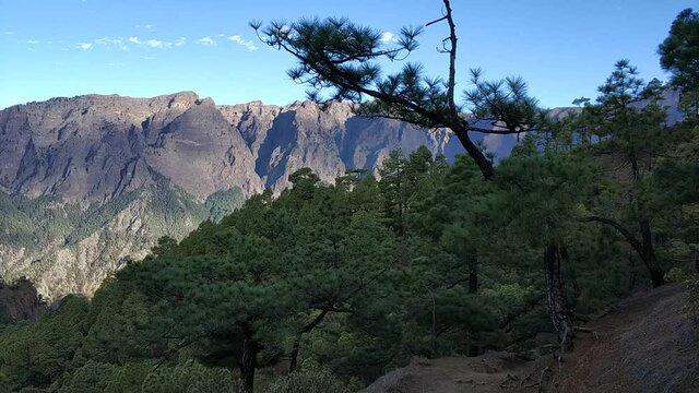 Picturesque view of beautiful mountain range on La palma island, Canaries. Spectacular caldera Taburiente mountain peaks covered by pine forest woods