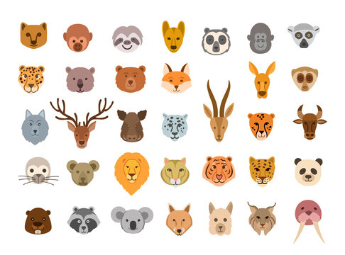 Collection of cute animal faces. Big set of cute animal heads. Vector cartoon characters.  