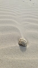 SABLE 