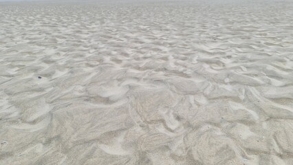 SABLE