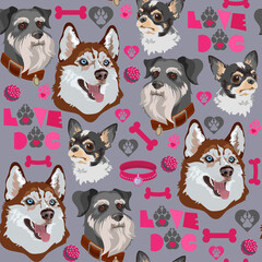 Obraz premium Dog breed seamless pattern. Husky, Chihuahua, Schnauzer. Vector flat illustration