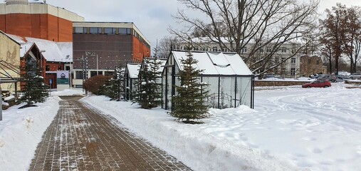 Snow on tiny house