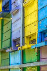 Colorful beehives