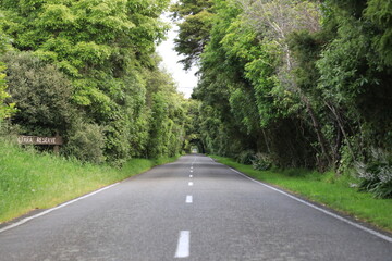 The roads to the mountains 