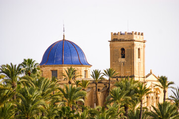 Arabic mosque with beautiful blue roof surrounded by a set of palm trees in Elche, Spain.