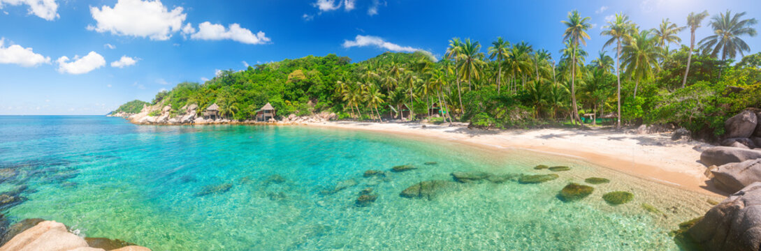 Panorama of tropical beach with coconut palm tree