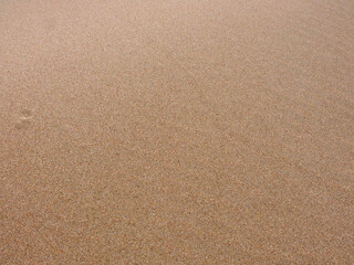 Fototapeta na wymiar Vue de sable fin avec trace de pied