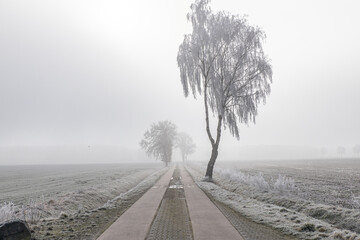 Winter raureif