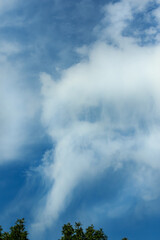 flowing clouds cascading through the air above green trees