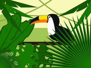 toucan in the jungle on a branch vector illustration