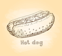 Fast food, hot dog. Freehand drawing. Vector illustration