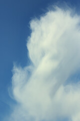 Fototapeta na wymiar vertical portrait of cascading clouds billowing upward abstract full frame