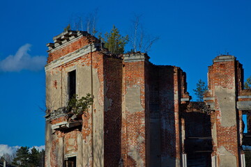 Fototapeta na wymiar Ruins of the noble estate Petrovskoe-Knyazhishchevo, Moscow region of Russia.