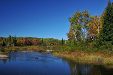 Fall scene of crooked river Ontario