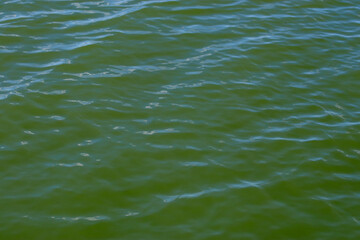 Colorful seawater background. Water surface seagreen colour, emerald color