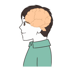 脳の断面図　男性