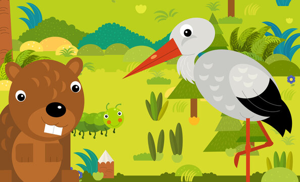 cartoon scene with different european animals in the forest © honeyflavour