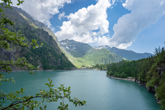 Splendid view of the Lago dei Cavalli, Alpe Cheggio. The teal water, the rich vegetation, the blue sky and the white clouds.