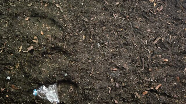 Plastic recycling and ecology concept. Stop motion of three plastic bottles left in soil then crushed and collected to replace with tree planting.