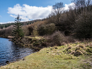 Obraz premium View of a part of the water reservoir surrounded by forests, hills, greenery at the early of spring.