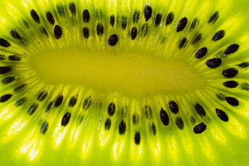 kiwi fruit in cross section
