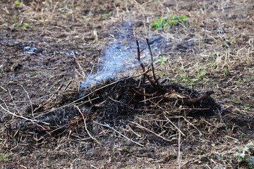 Smoking heaps of hay collected from the field