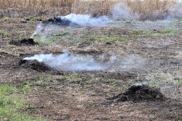 Smoking heaps of hay collected from the field