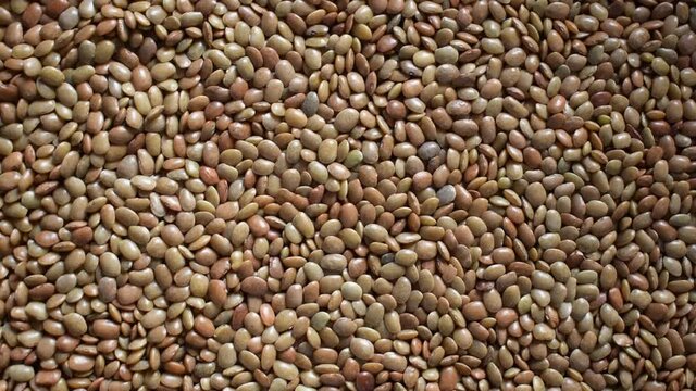 Raw whole dried Horse gram