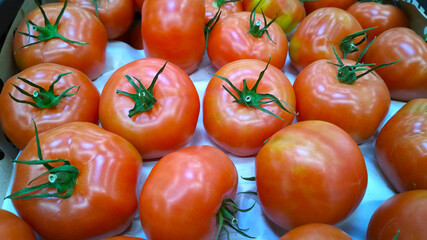 Row of red tomatoes with green leaves for sale. Vegetables background. Local farmers market or supermarket. Rich harvest. Products supply. Retail industry. Grocery store. Shop. Fresh healthy food.