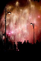 花火, fireworks, 祭り, 夜, 光, きれい, キラキラ, 街, ピンク, 赤, 人, はじける, お祝い, 花火, 休日, 火, 祭り, 空, 爆発, 祝う, カラフル, 黒, パーティー, シティ, 赤, 行事, 幸せな, 暗い