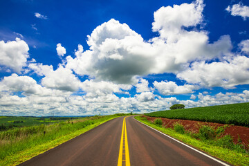 country road. beautiful rural landscape

