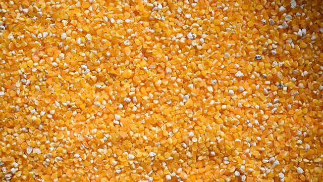 Raw broken dried Corn kernel