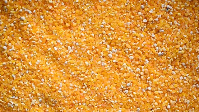 Raw broken dried Corn kernel