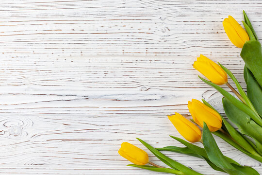 Five bright yellow tulips on a white wooden background