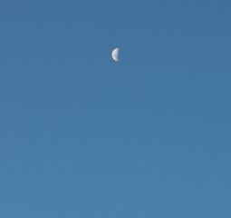 moon in the sky
